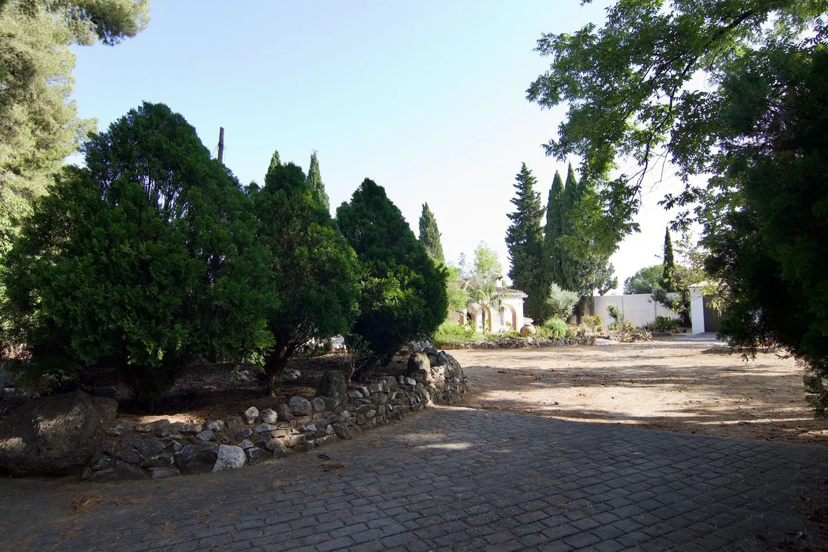 969e250f-34fd-4fbd-9ec6-a9c10fa55254