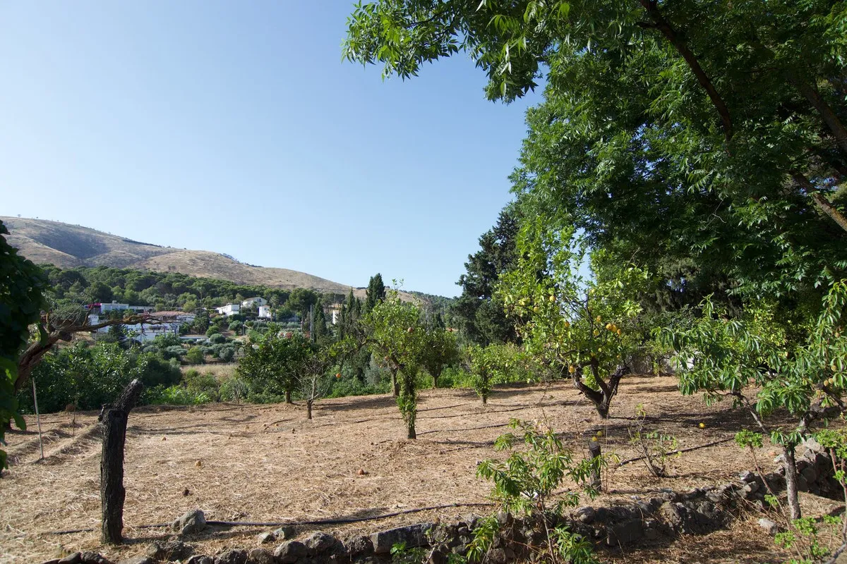 dc2c74c3-3036-41e0-b128-af3812ec8faf