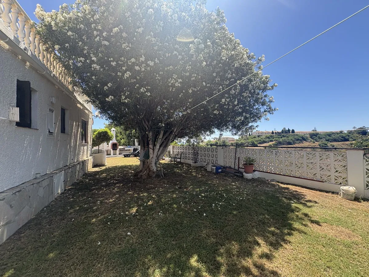 3b8f0043-3b86-4cc3-af6d-de16a7e62ca1