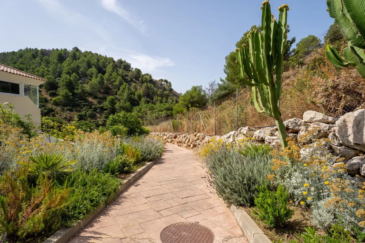 6eb885a6-0f88-41b0-81f7-bb3a52cf81ce