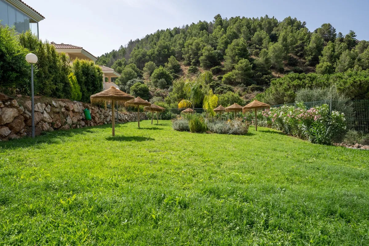 82822a5d-f54b-426e-ab2d-3533391d3892