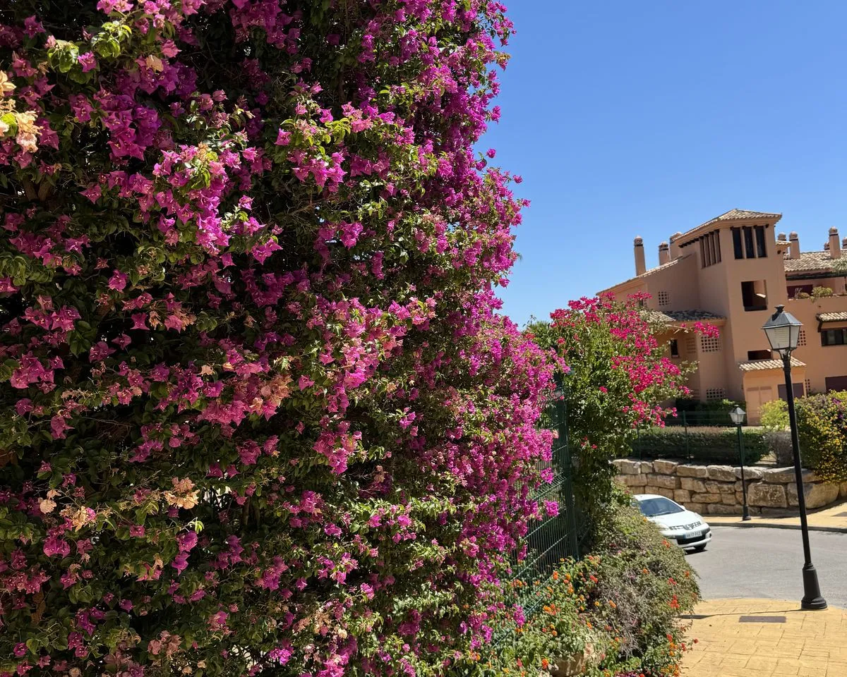 02e197ec-fb37-4322-996e-d420b167f690