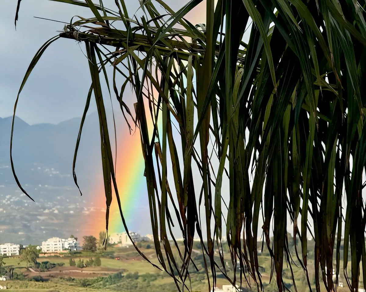 dcd03344-58b6-4ab2-a84a-fc49556ce5fd