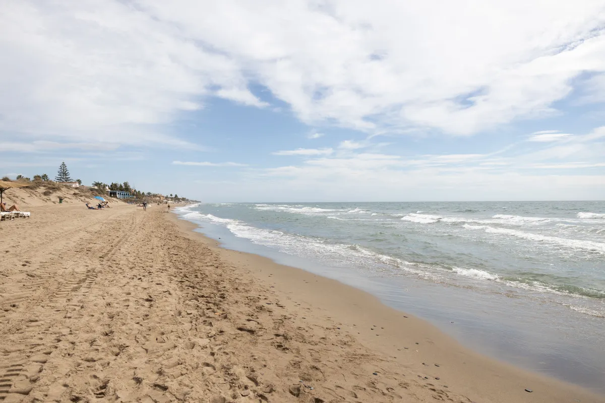 0dea9329-3f14-485f-a488-54716c718bec