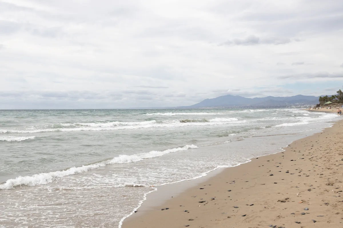 e6d24945-847a-4a2c-8dd9-46d9df8e68d5