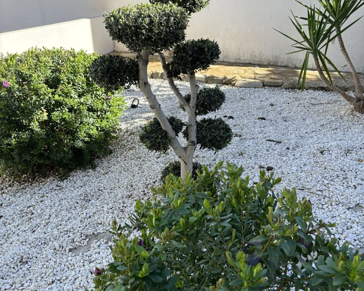 a5b325de-8be4-4f6f-916e-768aaf24b121