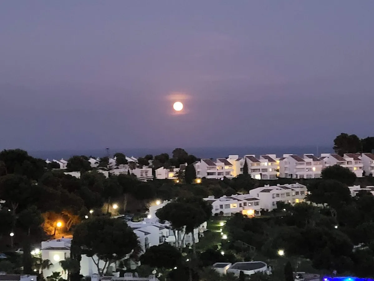 981dad52-b5de-4ce9-9cc9-cc3fc78c7775