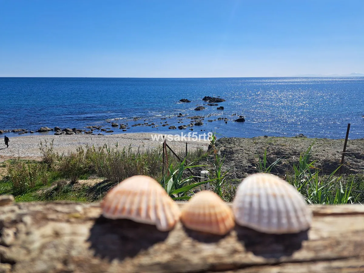 ff04e348-a784-42e6-a5cf-aabef2fac465