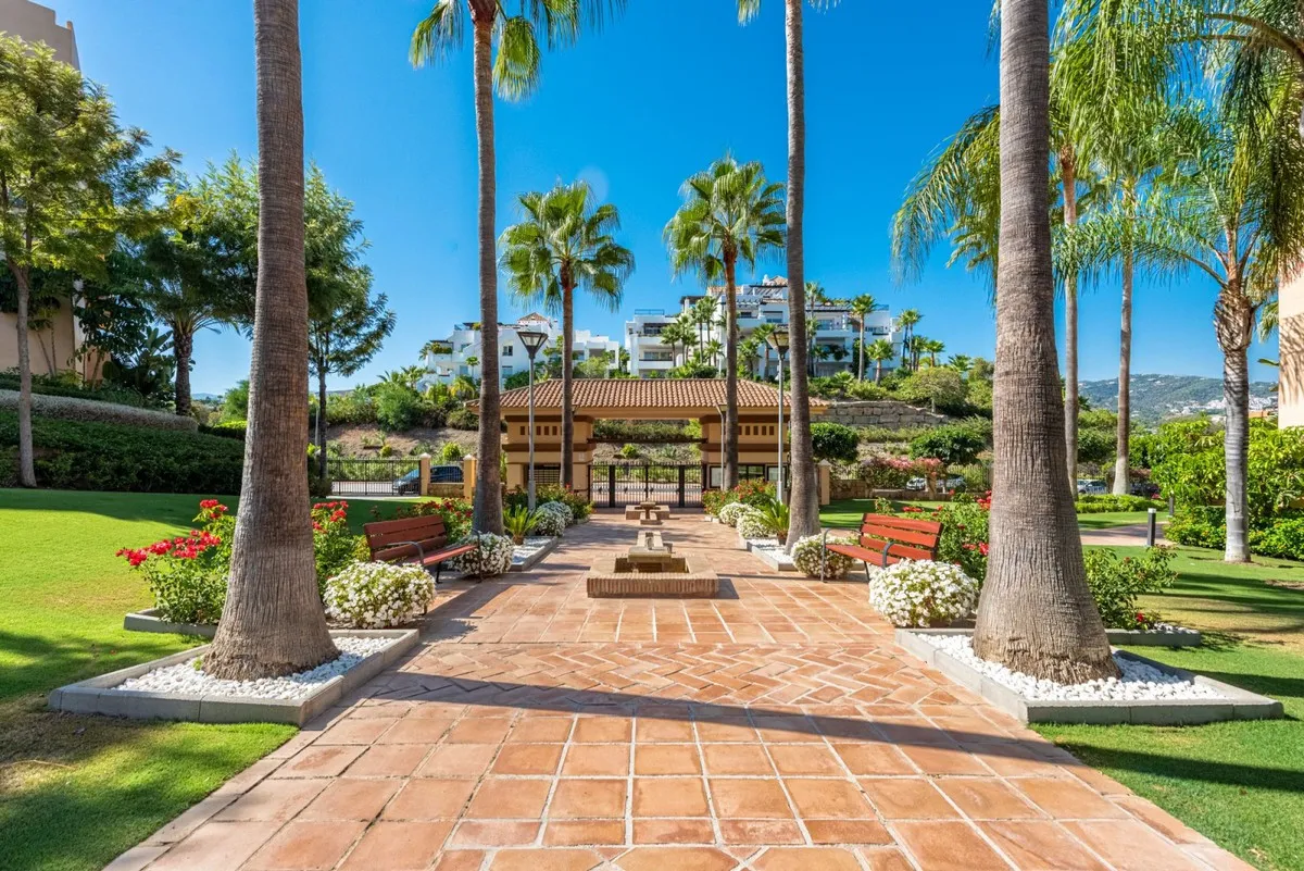 cabeab24-2433-4020-b2be-d6ac80c58c31