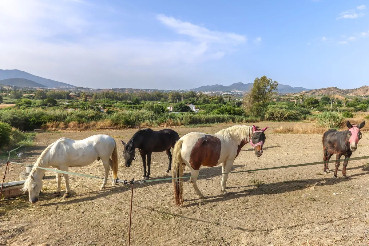 2342d58f-a33d-4371-a7e5-865a93b96c9a