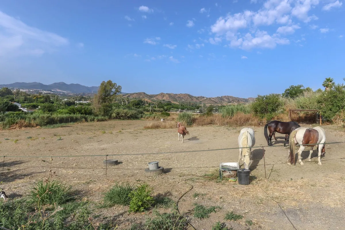 c5770f12-e417-4faf-922f-292e34fe6eaf