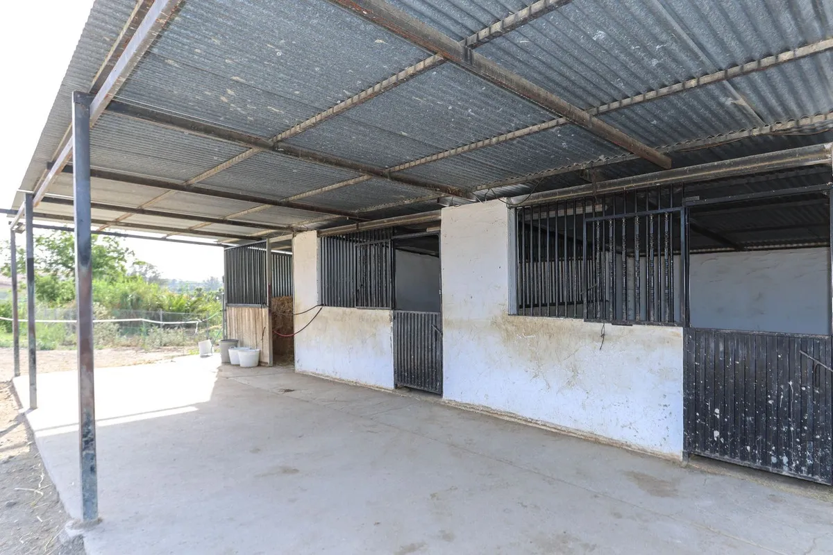 d01f1a5e-71c2-49fa-9ee7-9815efa190f0