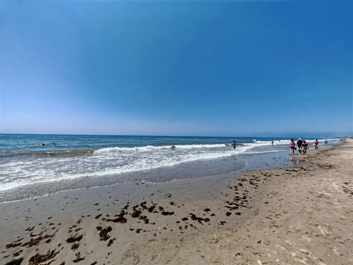 149ba29f-6a68-479f-97b8-eec71f6768ac