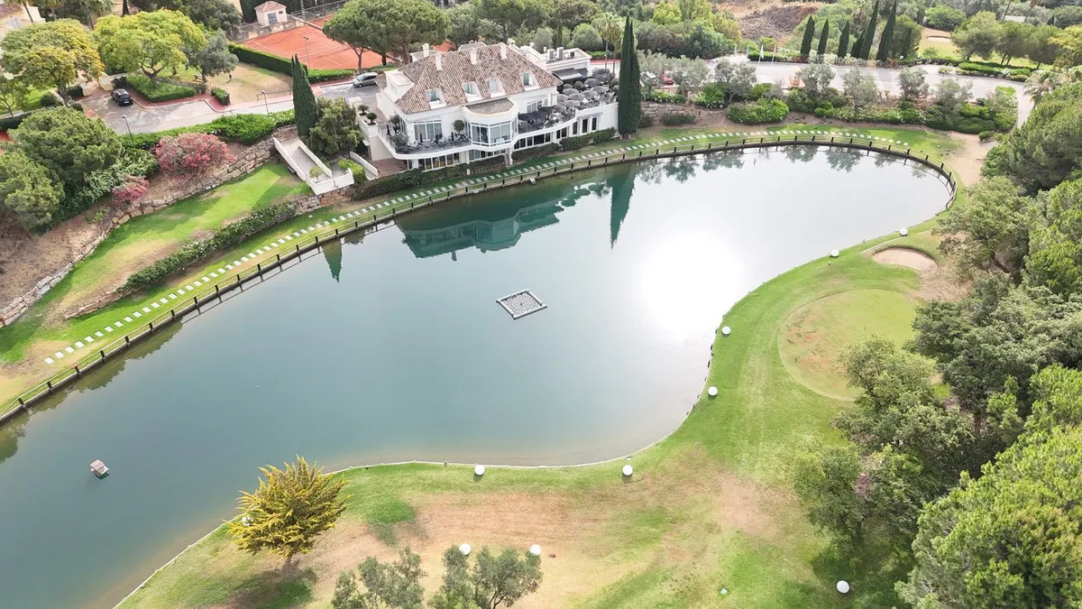 d120538a-d04f-498c-8427-439b6db28361