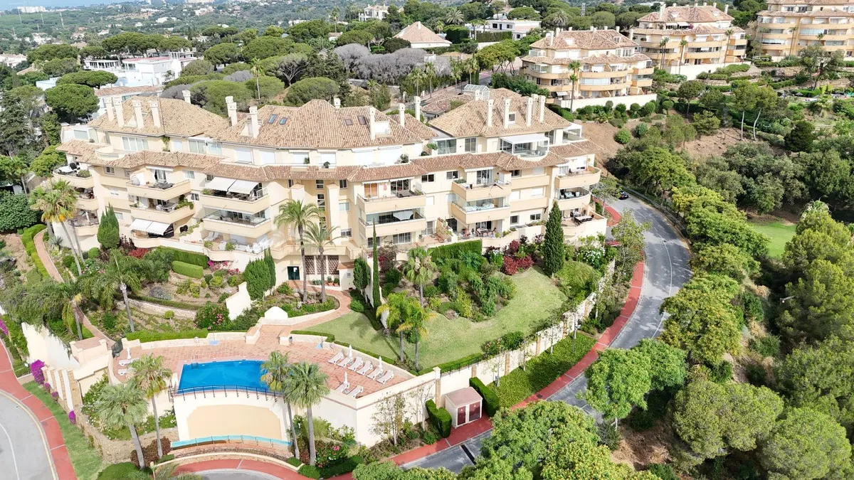 d5f17553-37fa-4011-99ef-e15005e98585