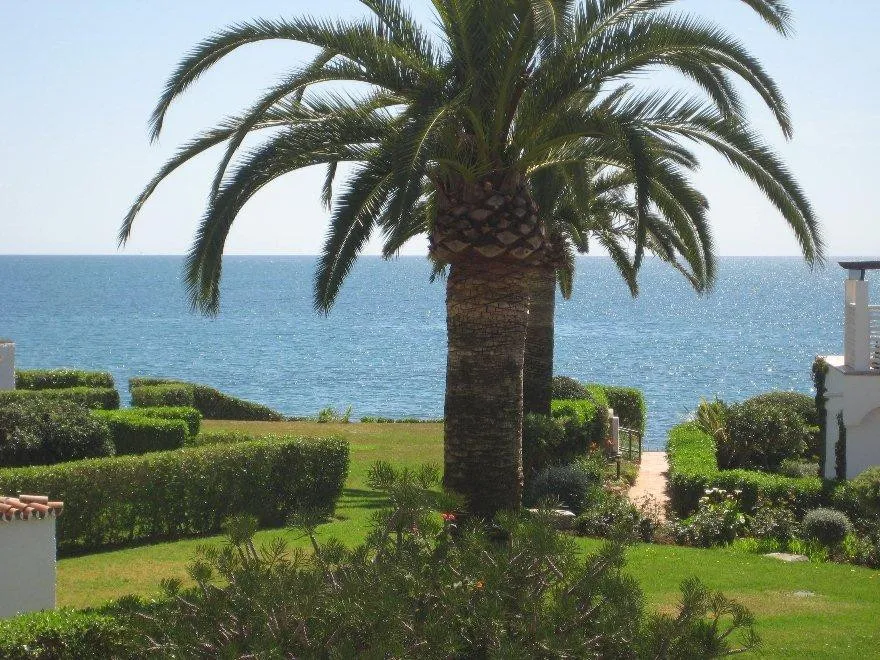 21bb4169-c95b-41ce-a483-beddff9ef381