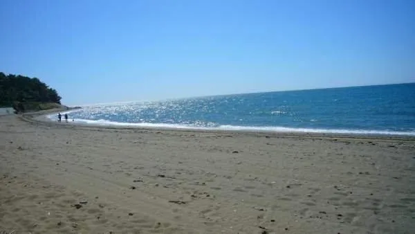 2ff4e4ce-36f6-4f59-8b82-5c1354445526