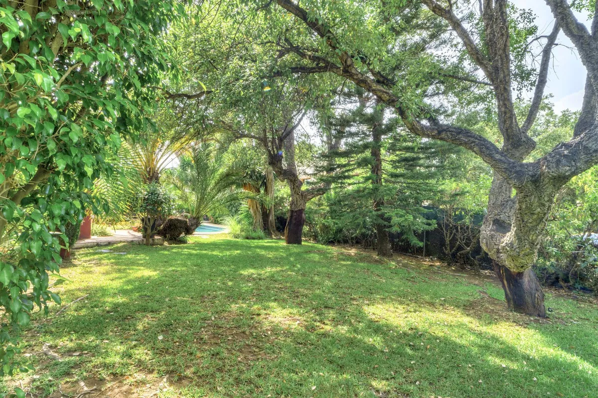 63b29221-d5dc-42d4-b89c-25e78805f1a2