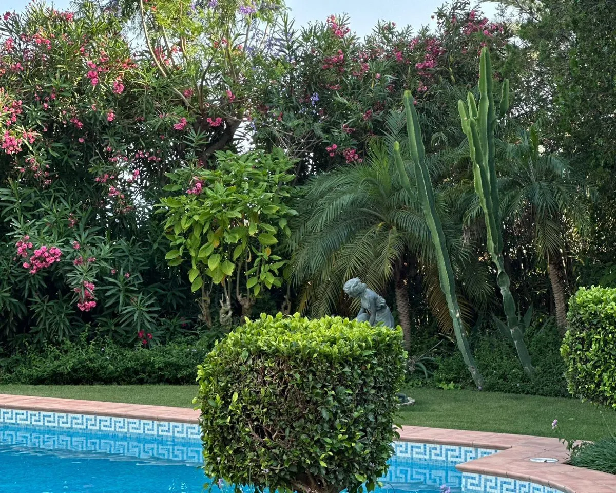 009f6c42-8c02-451b-8fe9-cf0eebd386c3