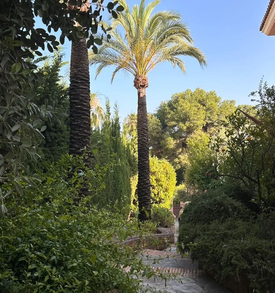 35c3578f-4de8-4a6c-87f4-816678dde894