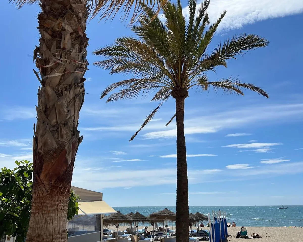 ded20d1f-aa05-4bd3-9688-4719ce6bbcb3