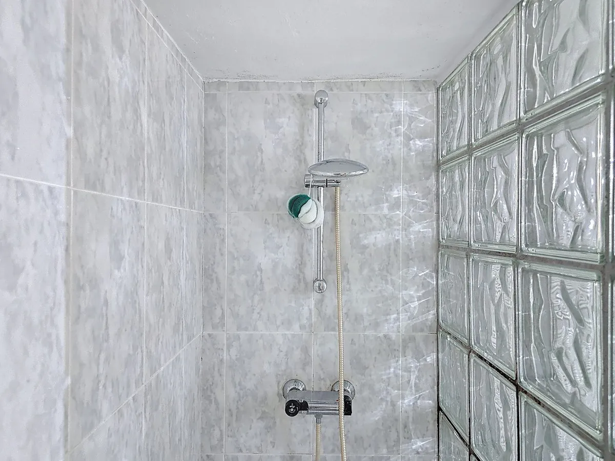 2bb65904-5e66-4ad5-a3ac-95281e896cf5