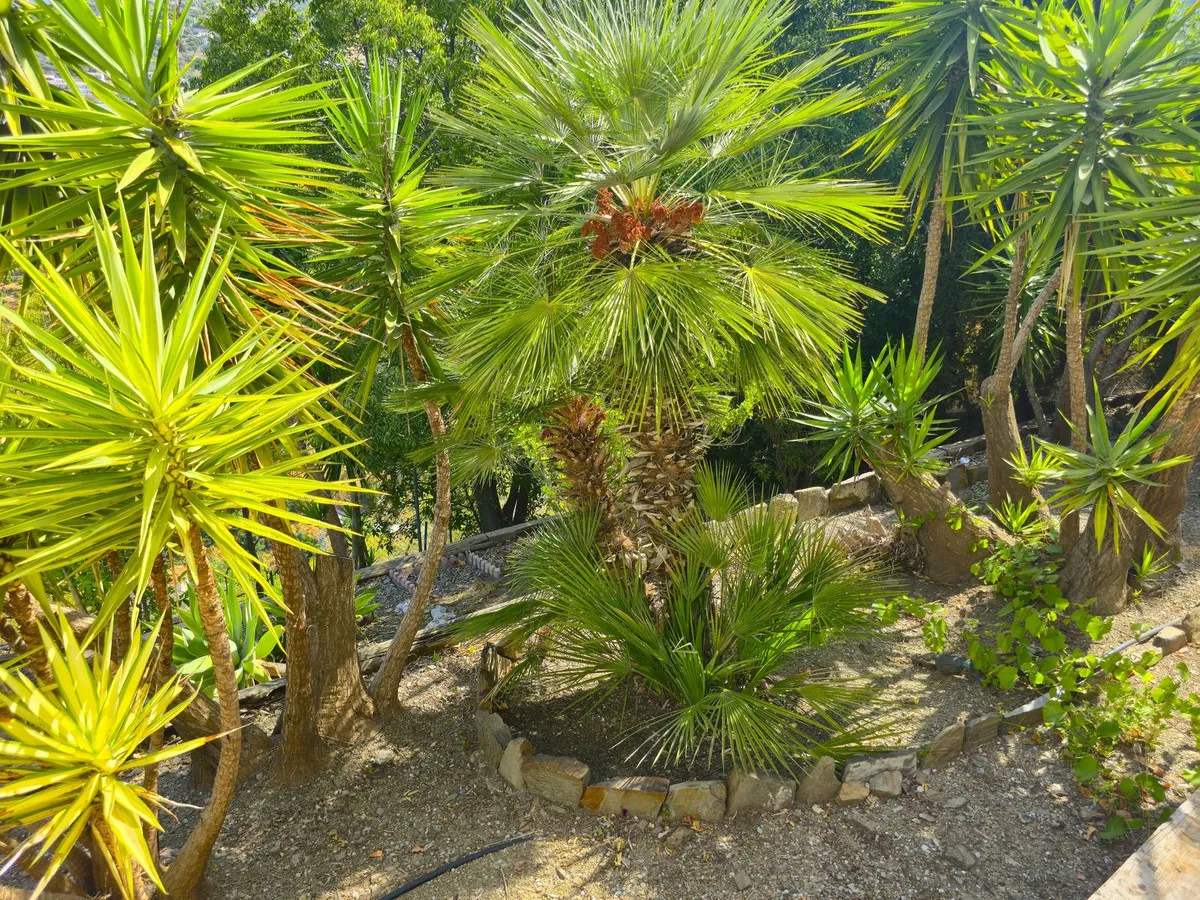 357fa9fa-6974-48a7-bb1d-285d7219e83c