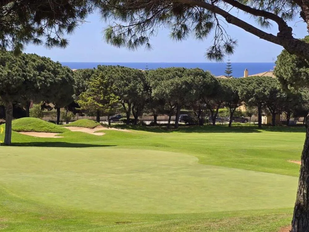 13c389af-7b1e-4275-8374-bdc075f43a75