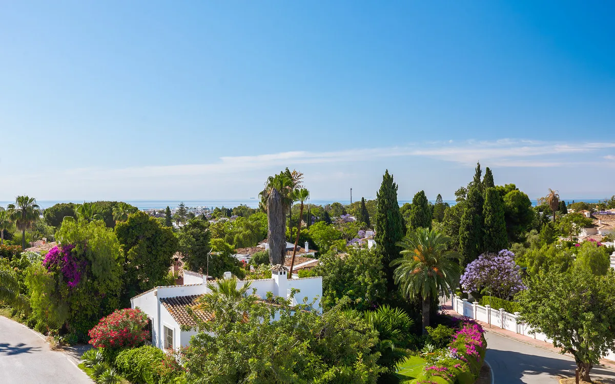 55e34895-27f5-4c9f-9e79-9d554be6c258