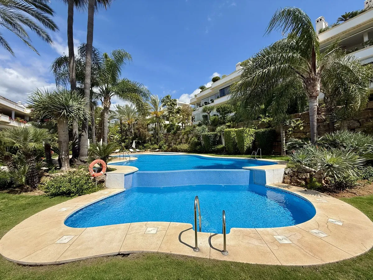 042238e0-26df-448e-9e16-4a7333fd7937