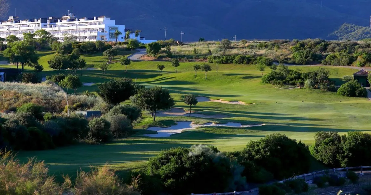 91fd1e34-8577-49cc-8995-de9fb6578d10