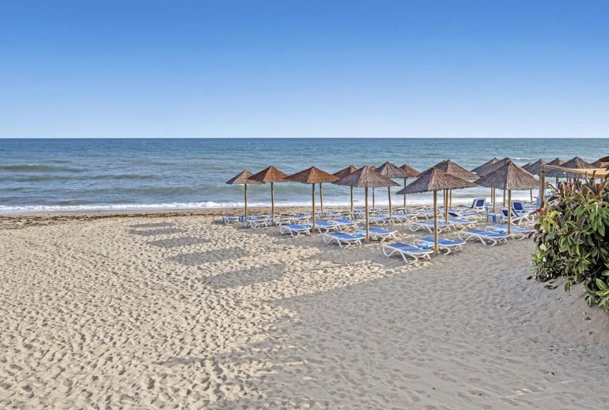 e3e872f2-dfa4-4061-9082-423a94ef4898