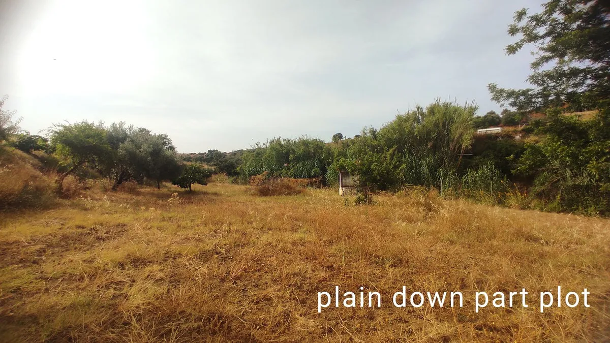 1caab539-8cff-4630-af39-9e06faf71e87