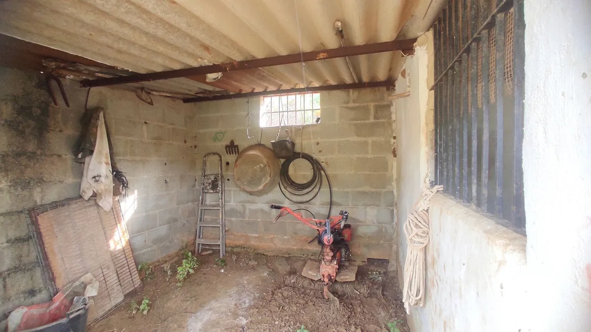 53e2d8c5-aa98-478f-9ed5-a604a57c4ad0