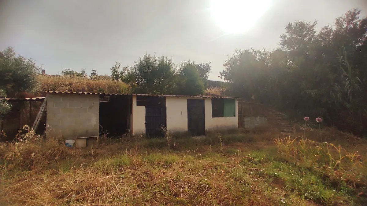 6d75319d-5668-424d-98ff-74aa97adf57e