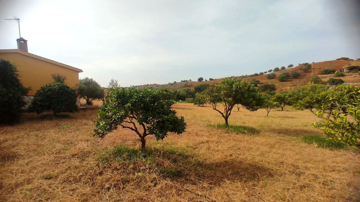 a8e31ea1-b98d-4021-ad70-66957c29ee41