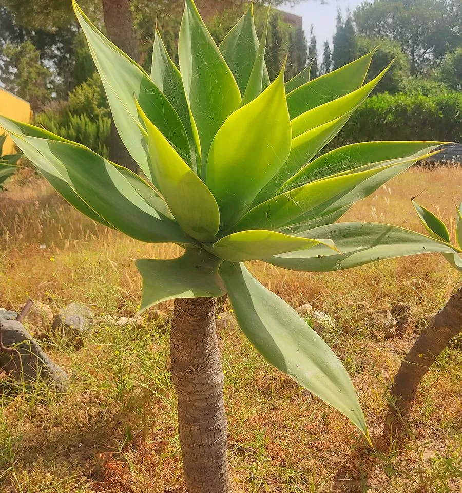 b0d883f6-f158-4c04-97e1-837537ef8af0