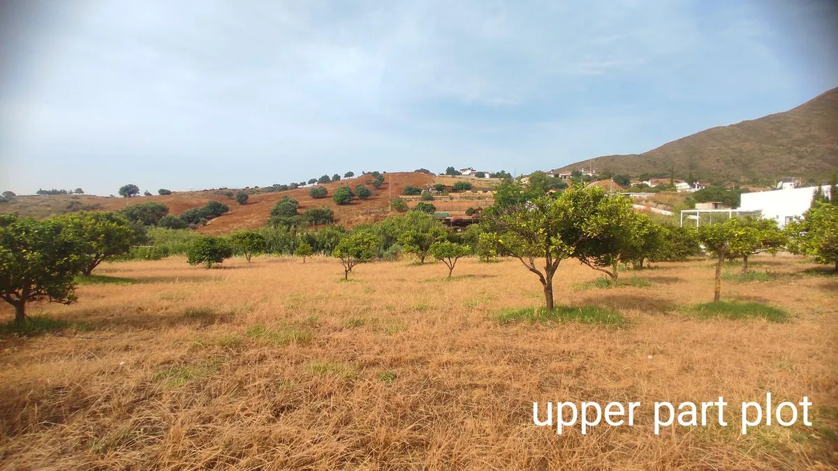 b7d20bca-8211-4ca8-b630-4d433380e5dc