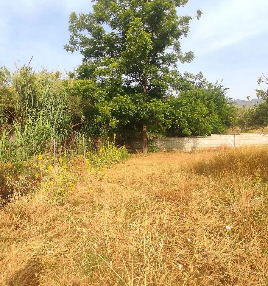 e8e66b18-7e43-4ecf-aed9-aebcdca527a9