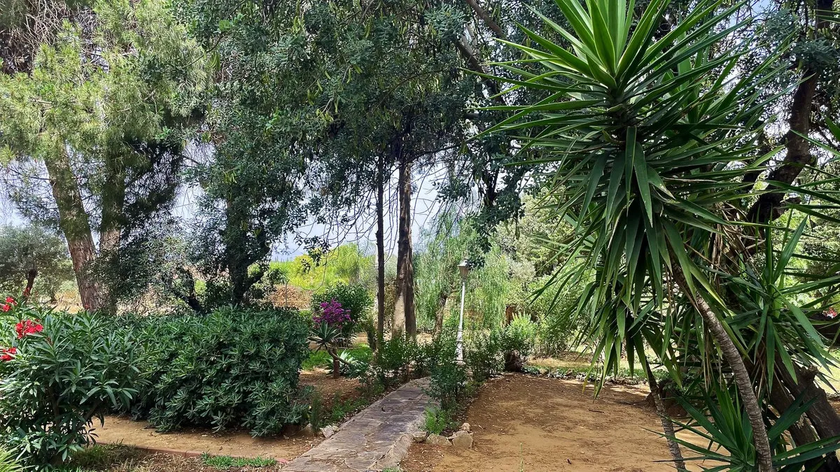 95d8022e-b6d2-4b28-a628-e9f36bd31829