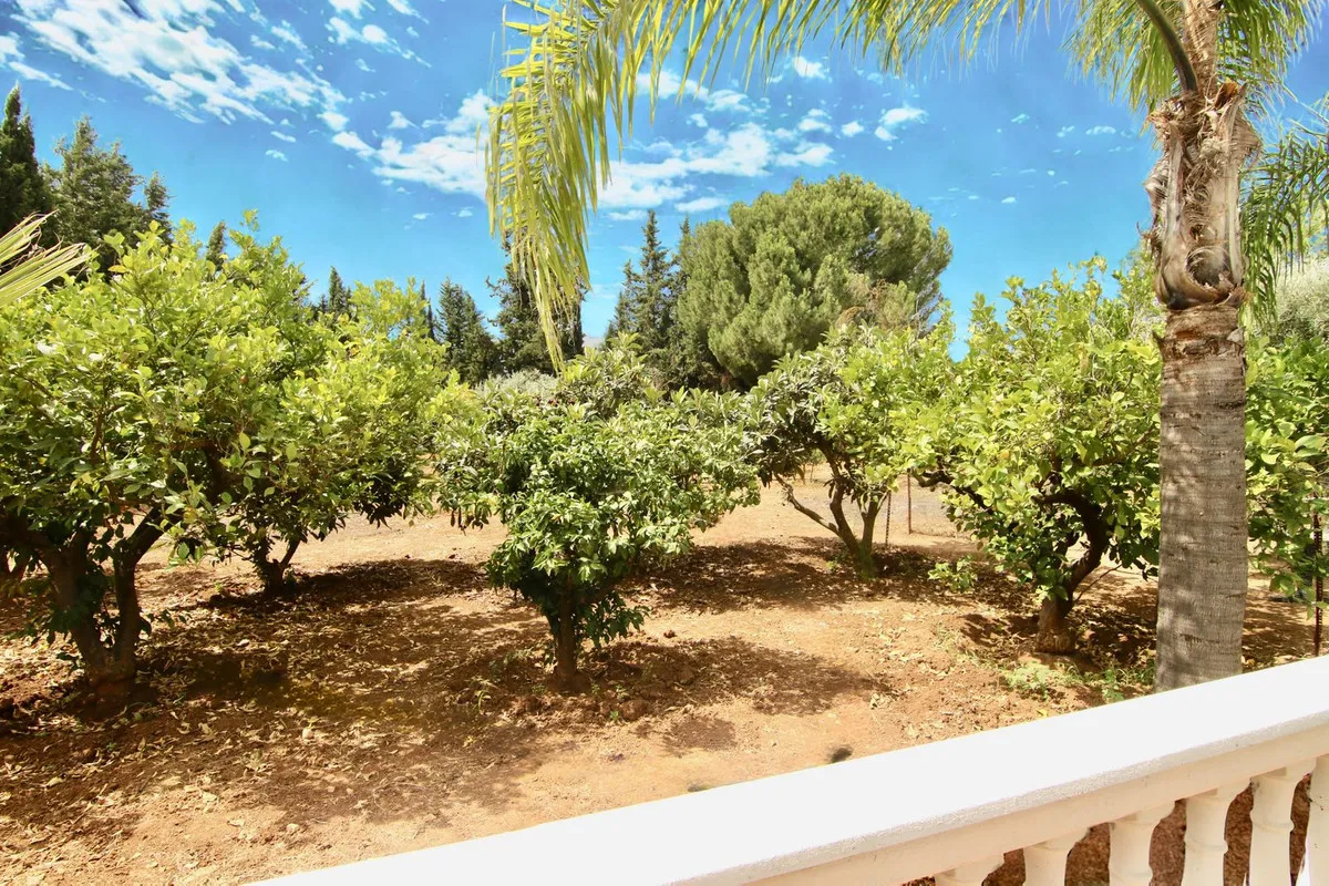 a03be04f-aca7-4ea3-a3ef-4f799dca5c69