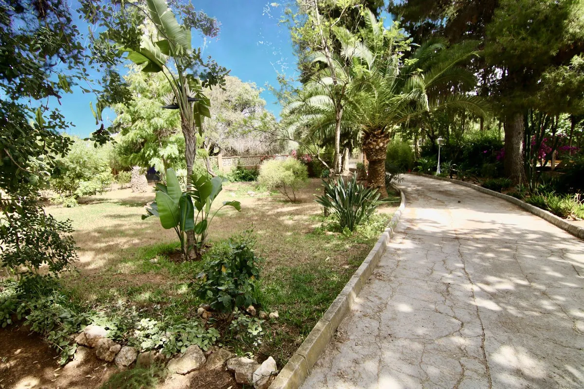 c4a63a6b-1e17-4e4a-909f-dd35e80ddba6