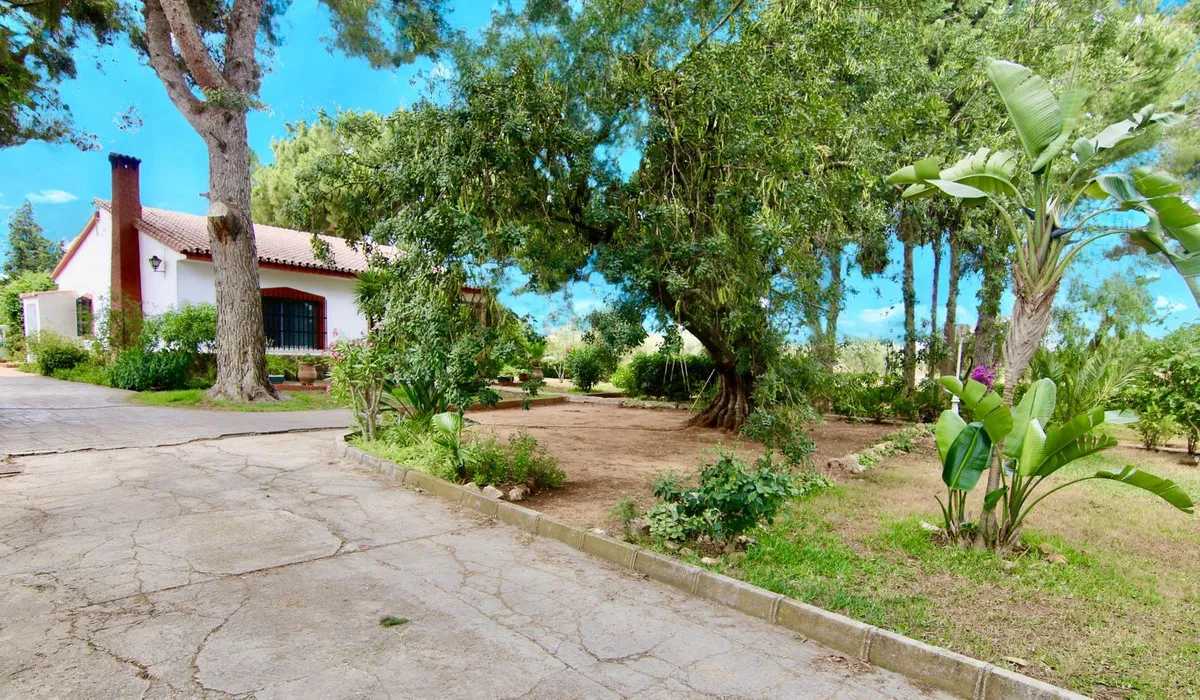 c572817a-0286-4dbd-83cc-5a90551600e5