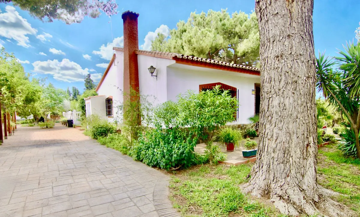 fff70d50-1e26-469a-9bdb-350dd502756b