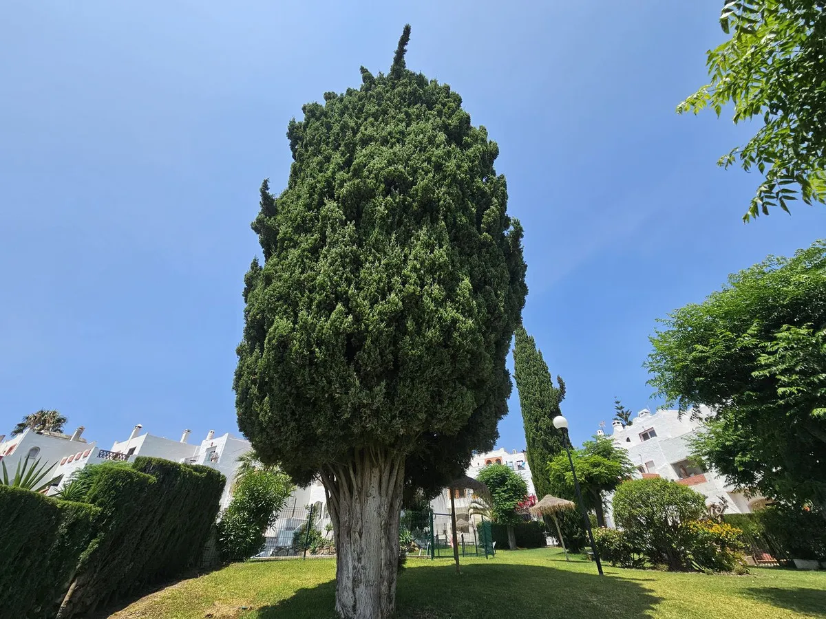 549a2d26-ad2e-4ea4-aa44-be35c15b63d7