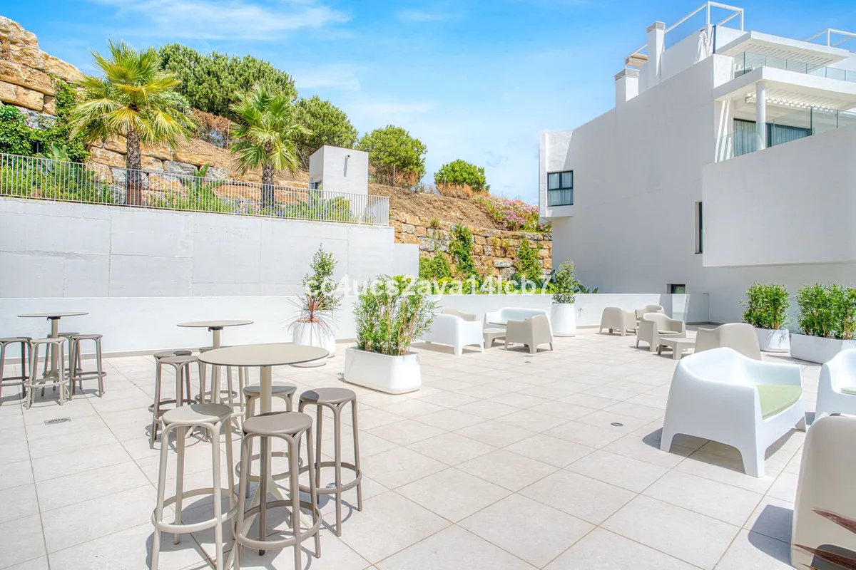 ae8ccc20-3f4e-4f18-ba94-d3896ba96fea