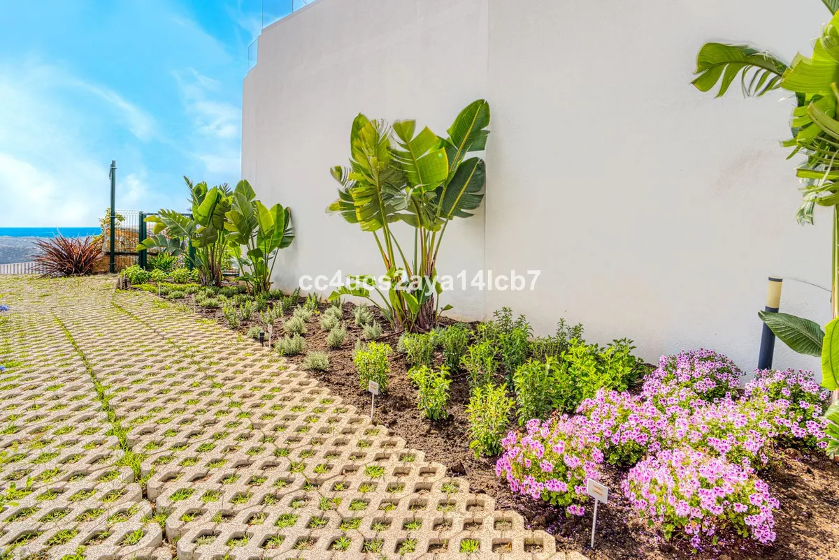 b58d9233-04bb-4740-b078-0c3c9fdecfa9