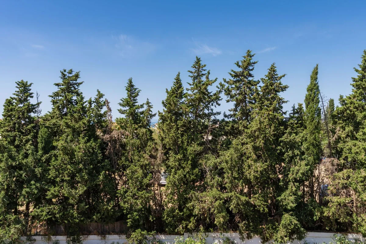 0ad3841a-ef88-4e7e-acba-e6788ae53e84