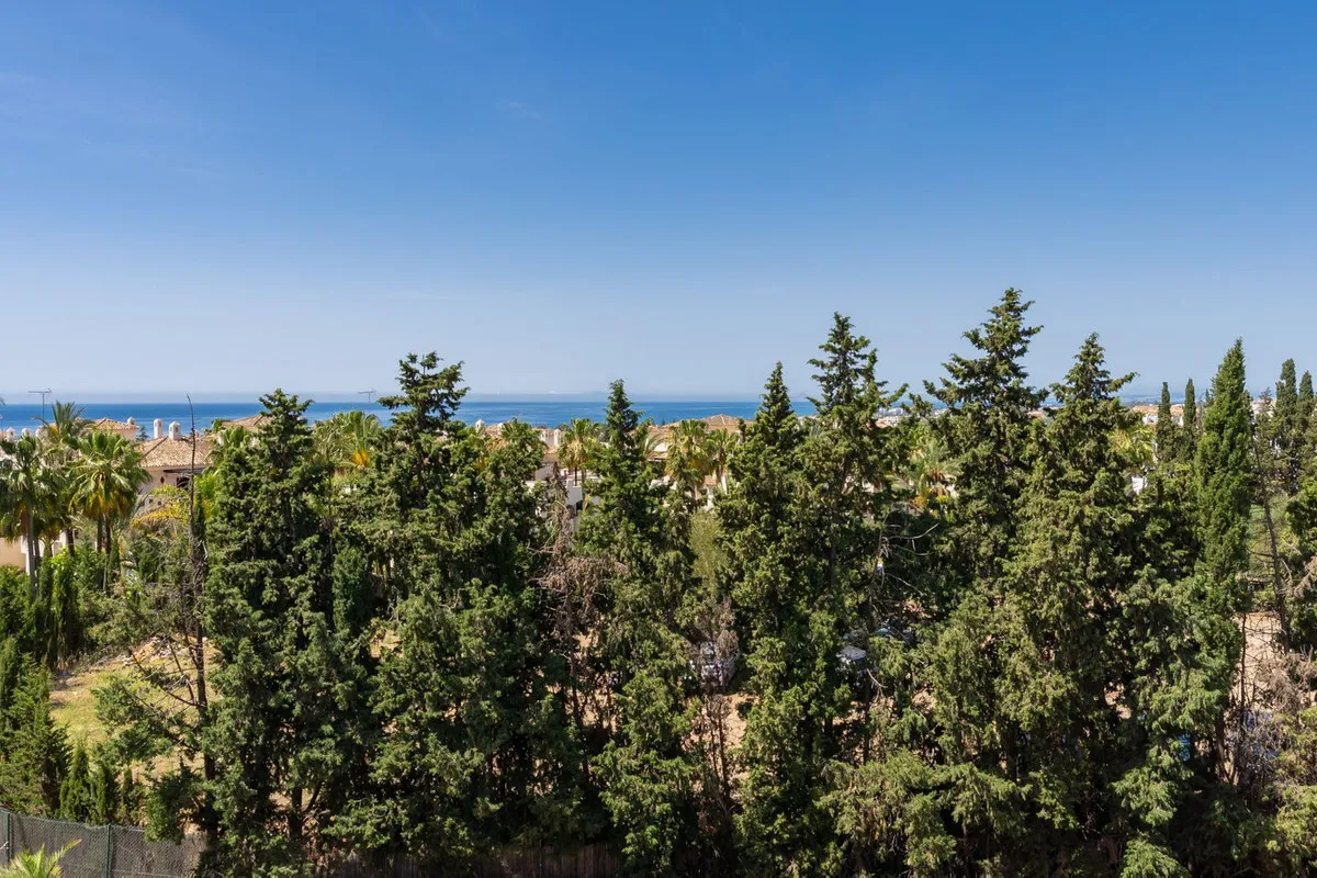 e563d416-be29-41ef-b17d-20572443221c