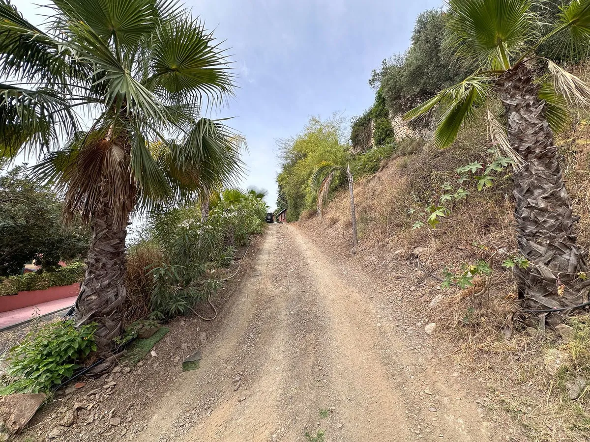 92498639-4b50-4c10-8820-6c0195c6a0ef